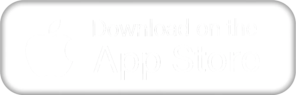 logo play store