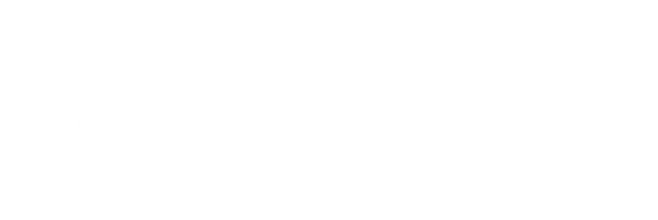 wink-logo